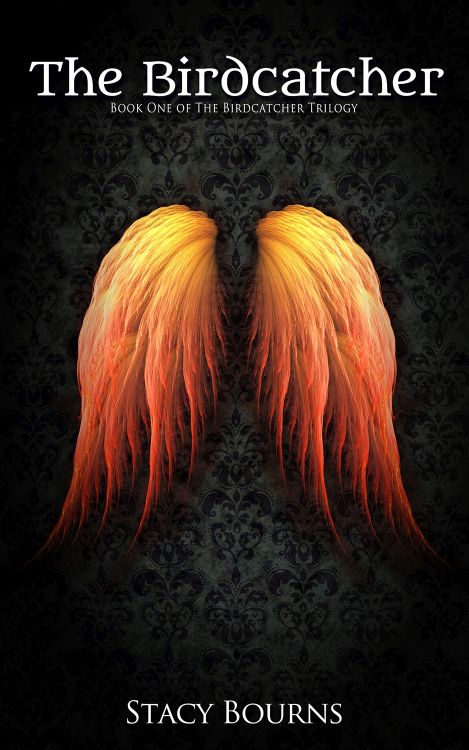 The Birdcatcher Book Cover