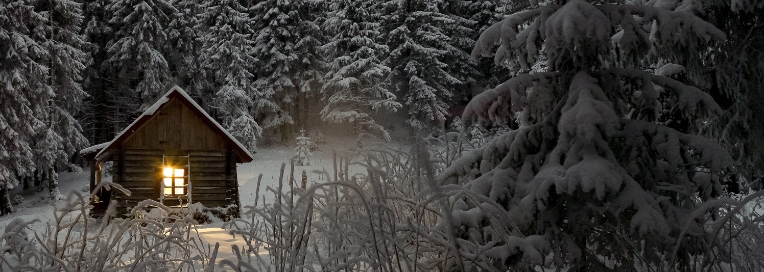 cabin nestled in snow